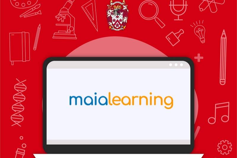 Dulwich-Dehong Virtual University Fair