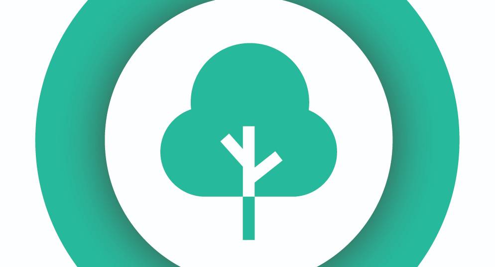 Embracing Environmental Sustainability: Dulwich College (Singapore)'s Commitment