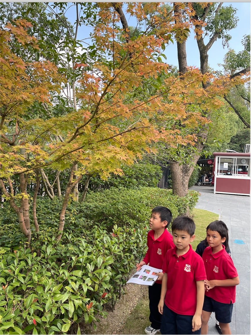 DUCKS students explored the Main Campus as part of their unit of inquiry on Life Cycles.
