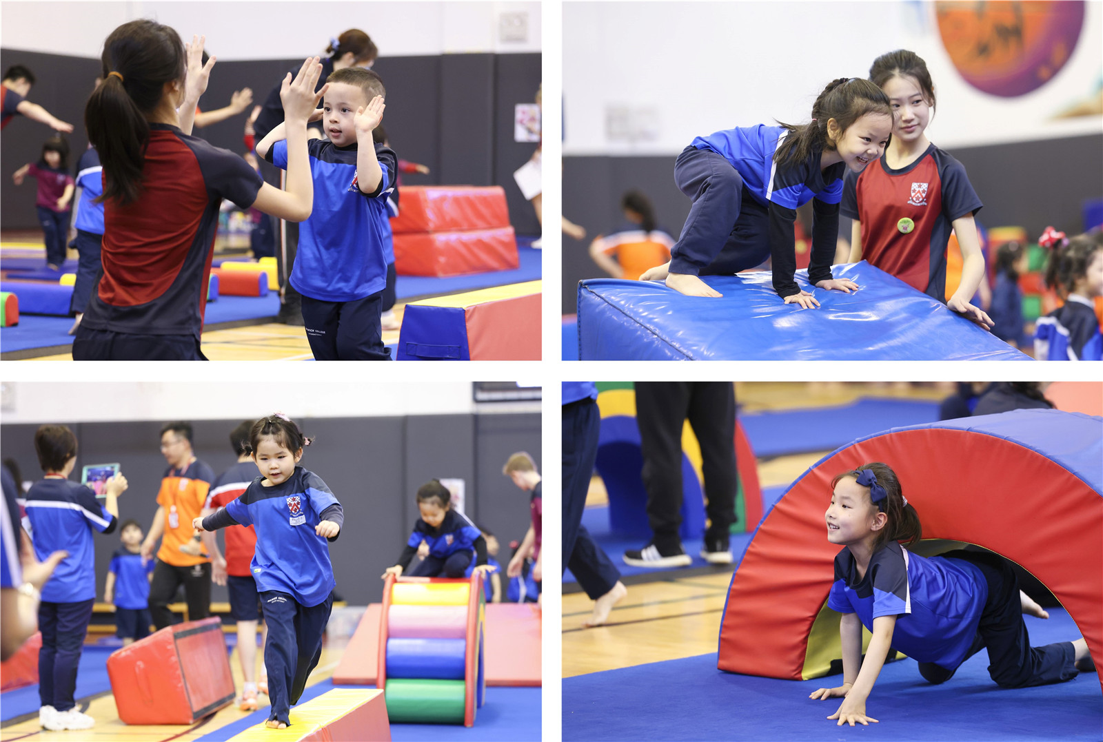 Teddy bear gym - sports