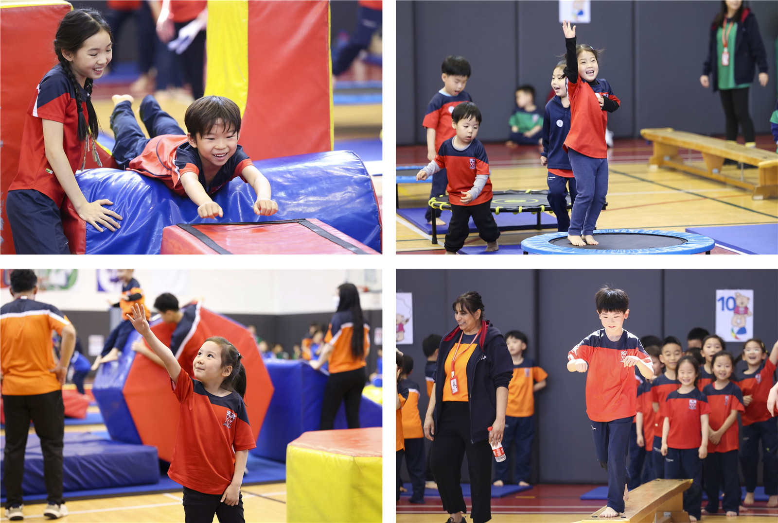 Teddy bear gym - sports