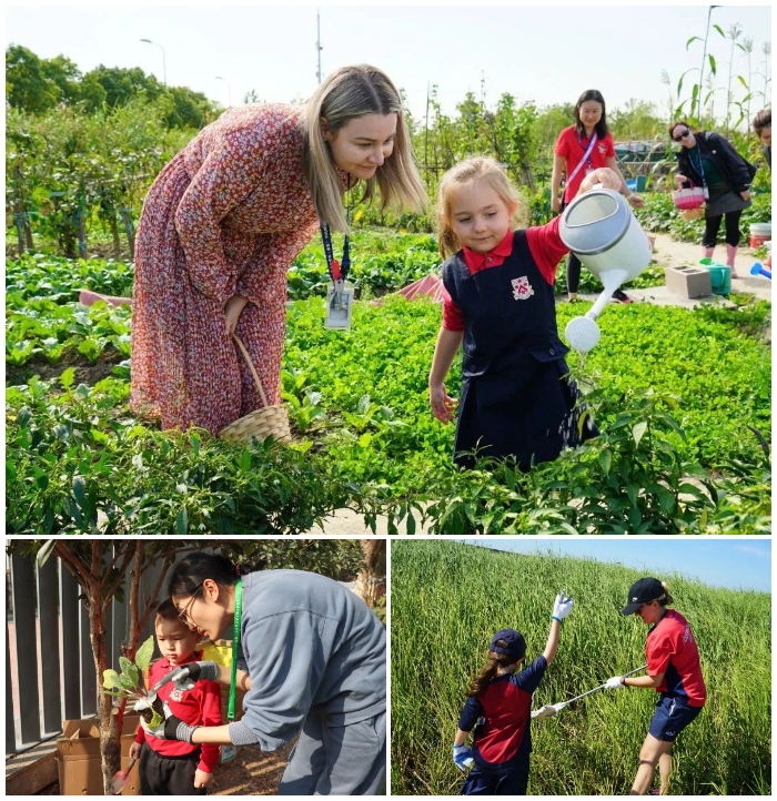 Dulwich Launches Second ESG Report