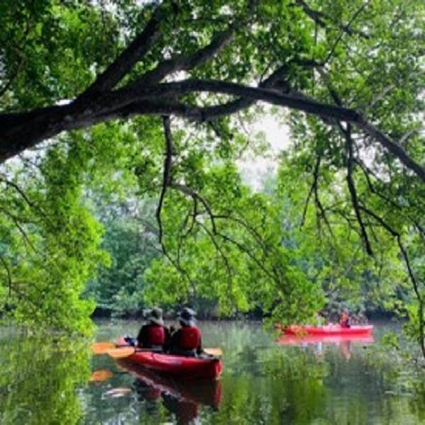 Year 3 Adventure Week (27 - 31 May 2024)
