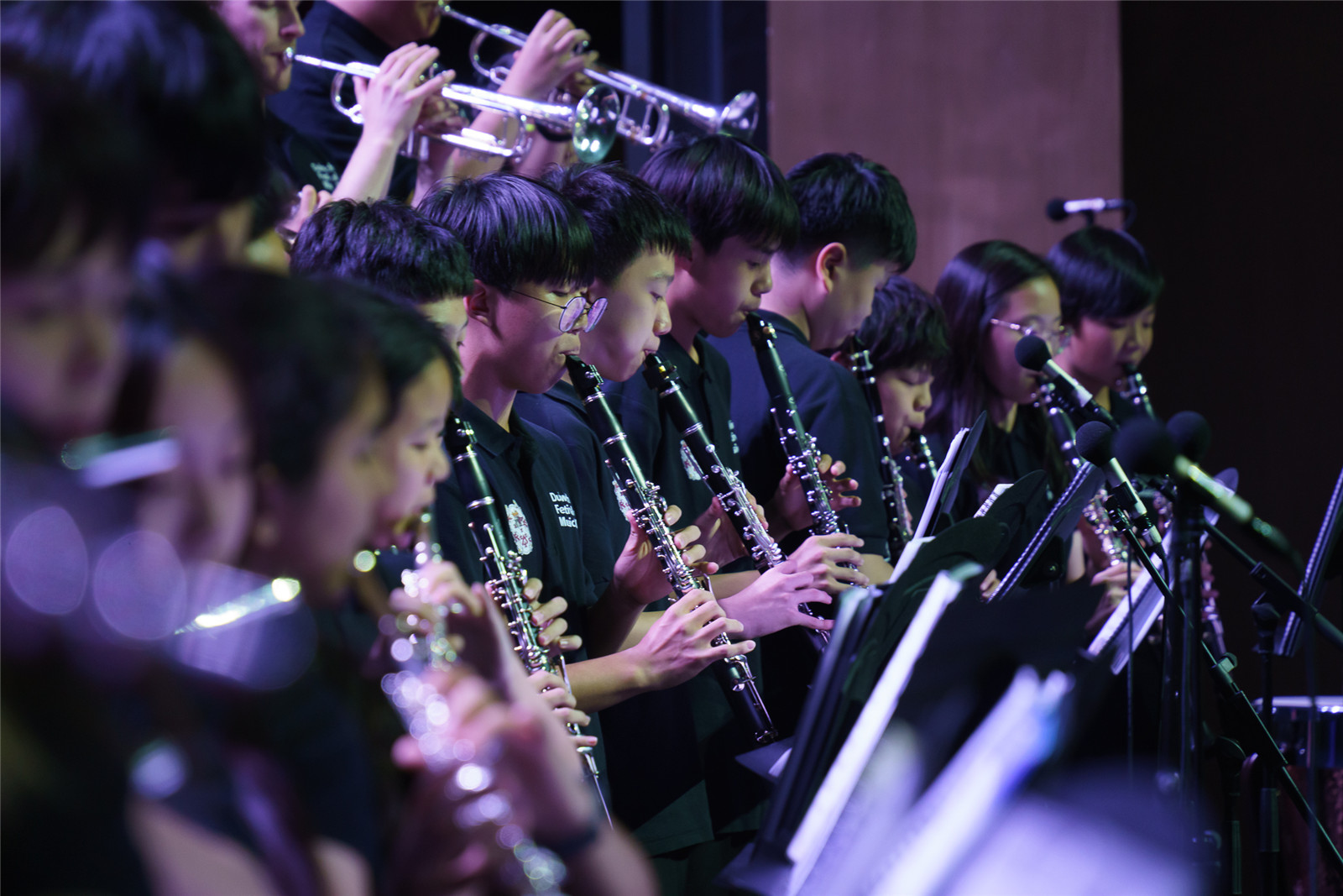 德威音乐节演出现场