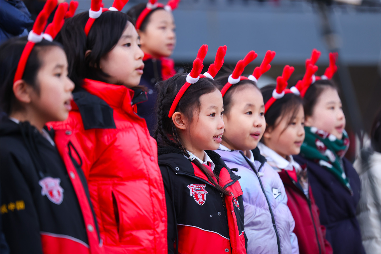DCB Christmas Tree Lighting Ceremony