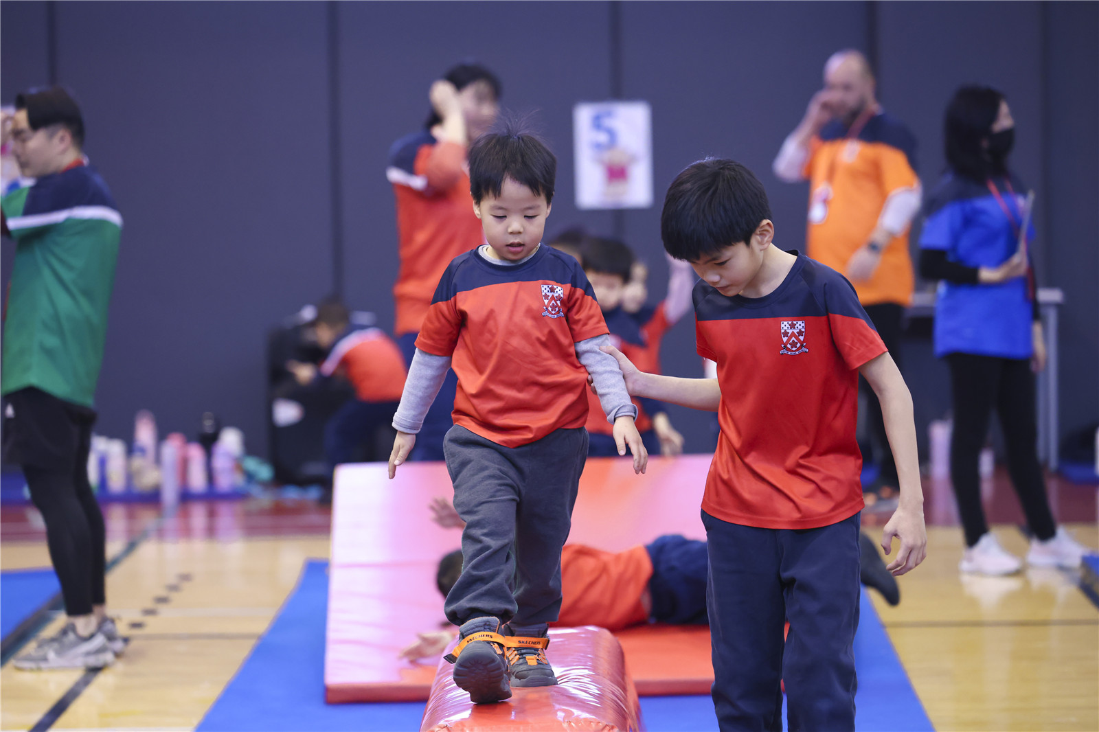 Teddy Bear Gym 2024