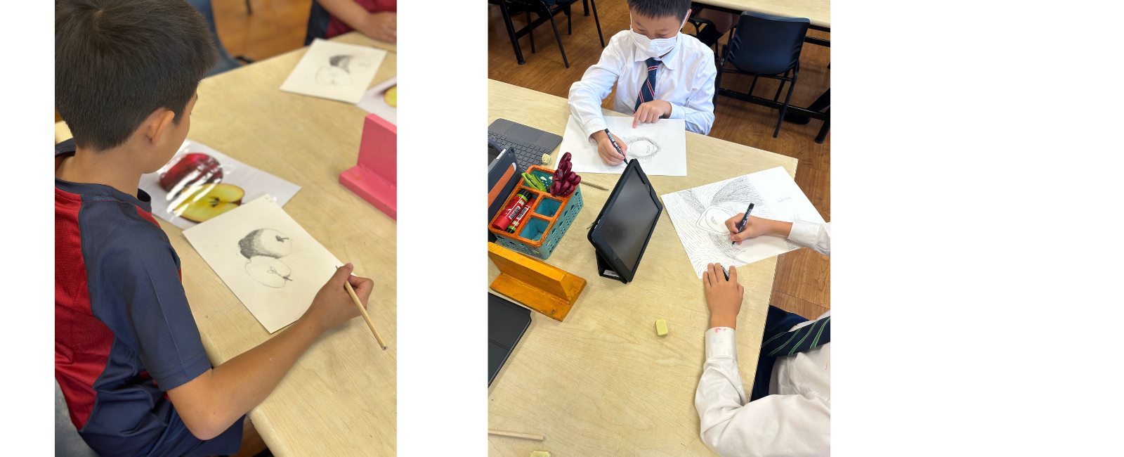 Y5 art work