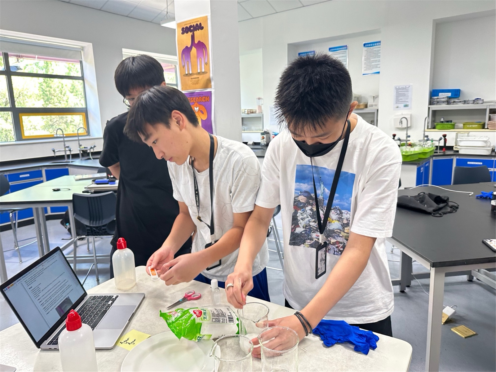 IB CAS Week (Group 4 Projects)