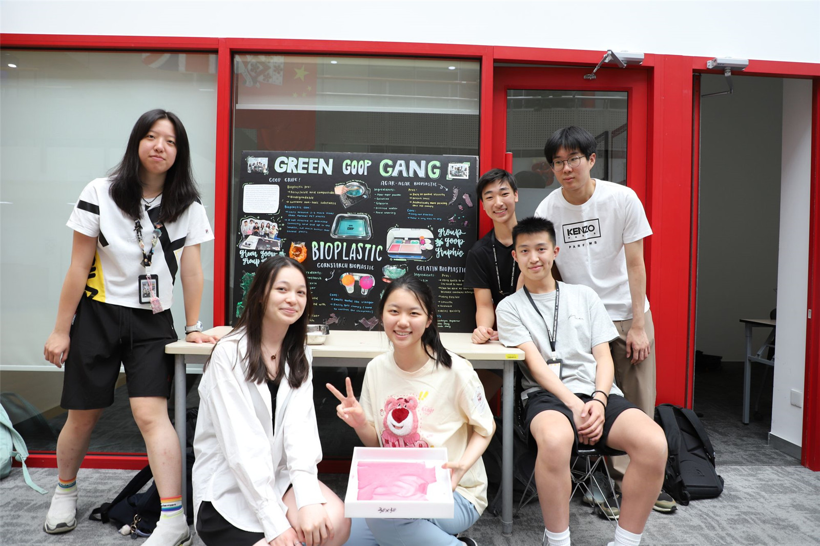 IB CAS Week (Group 4 Projects)