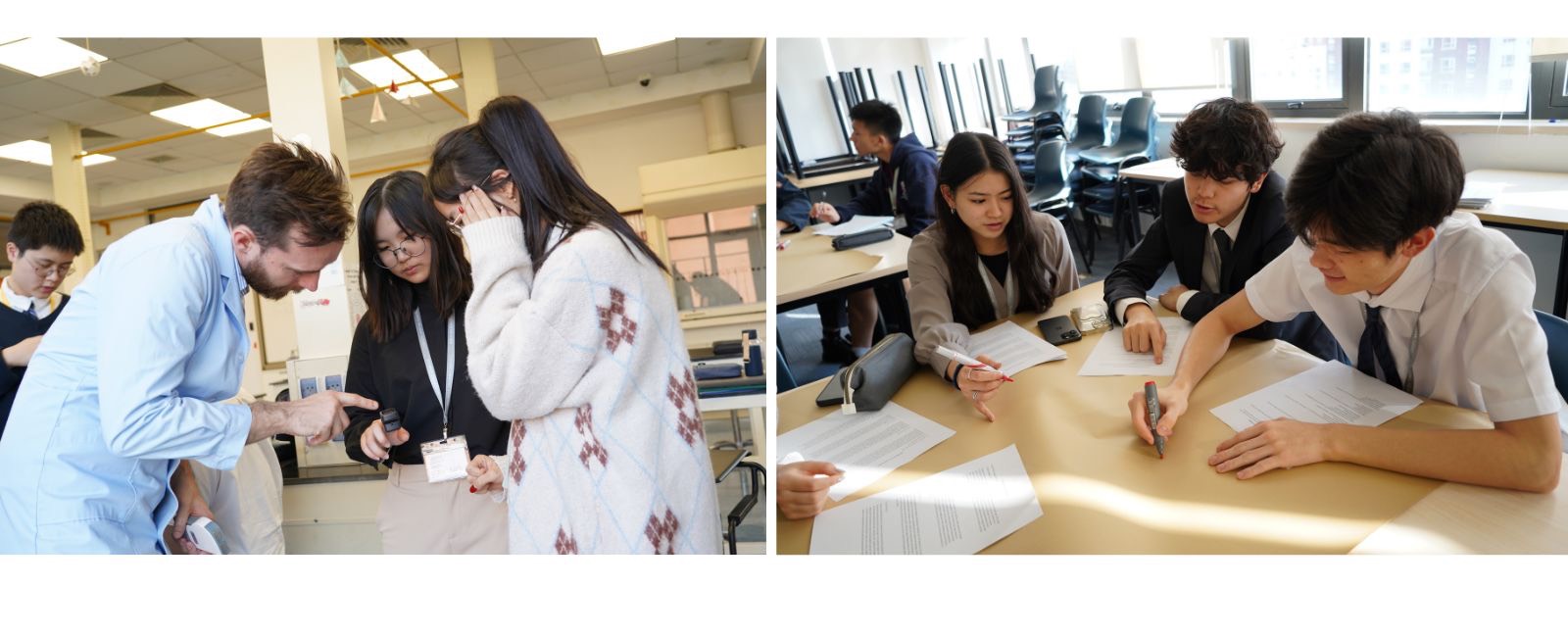 IB学生