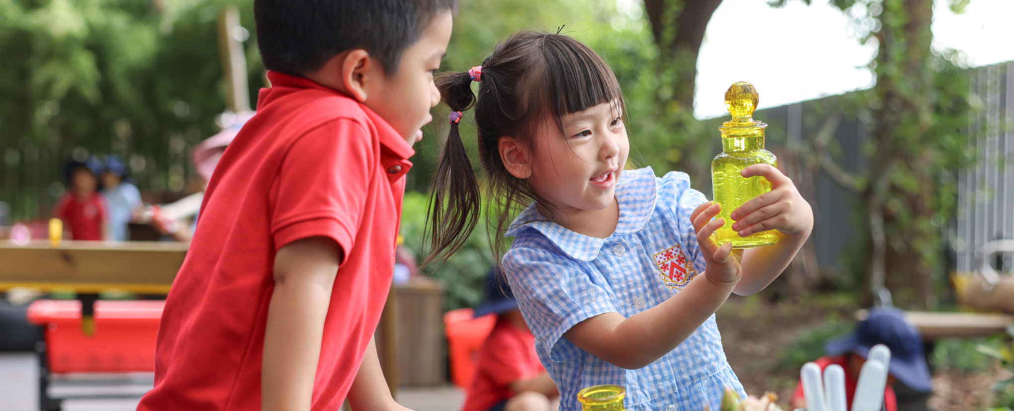 Holistic Curriculum