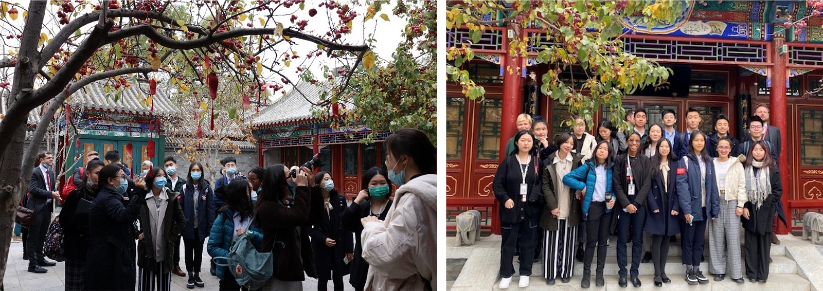 Law Firm trip - history and culture