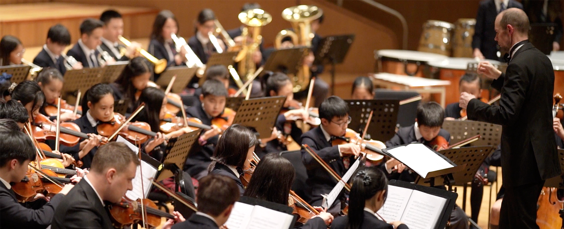 DCS Orchestra - Theme from Swan Lake