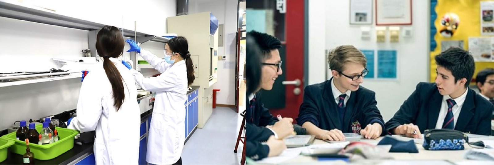 合作学习