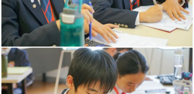 DCSPX Mathematics Learning