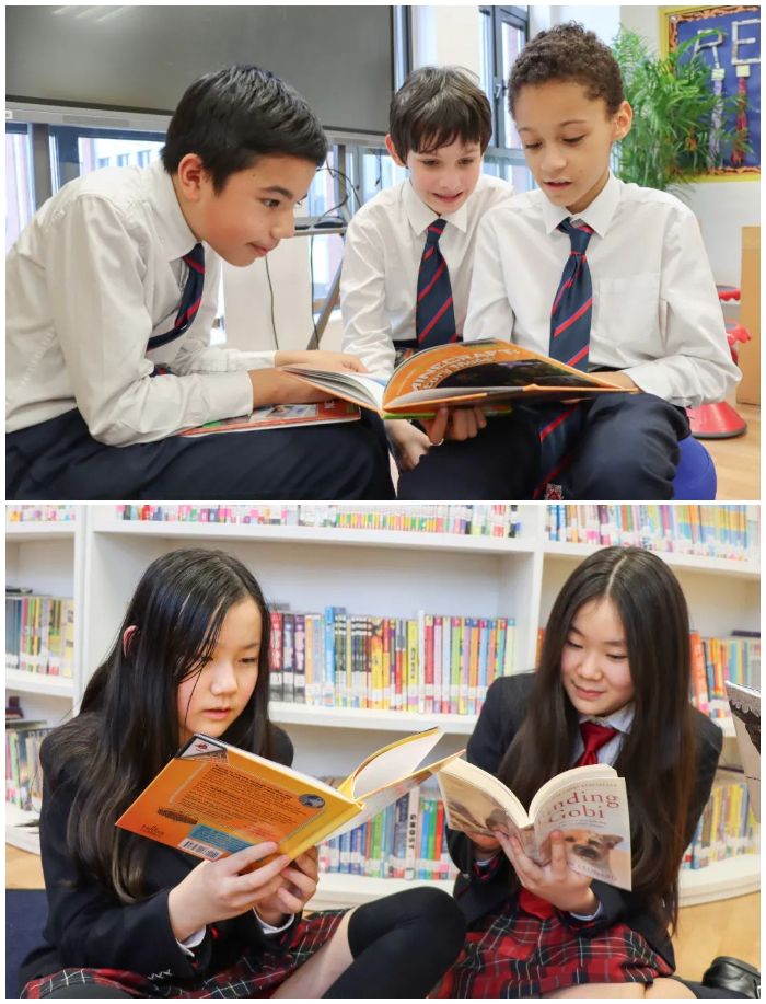 DCSPX FOBISIA Literacy and Numeracy Festival
