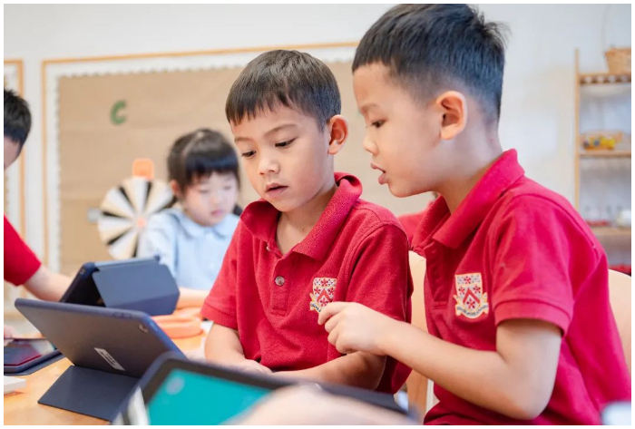DCSPX Study in Primary School