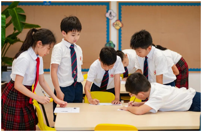DCSPX Study in Primary School