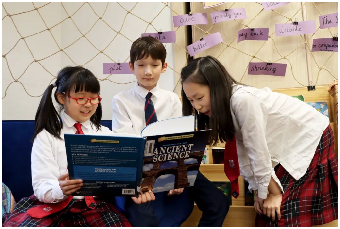 DCSPX Study in Junior School