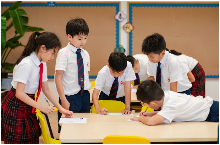 DCSPX Study in Junior School