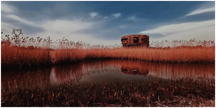 9th Dulwich Photo Competition