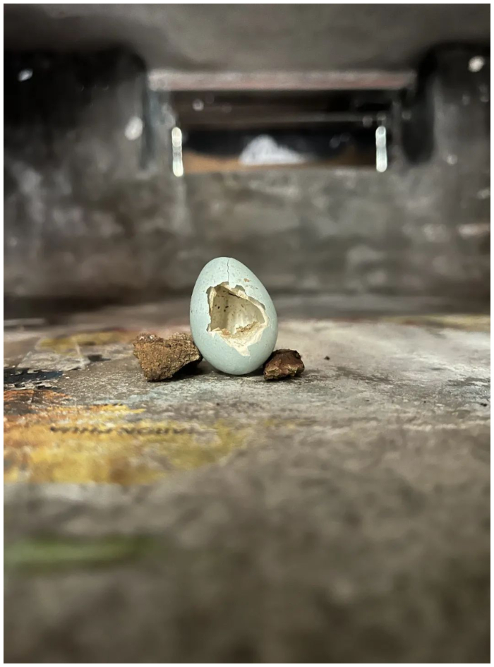 9th Dulwich Photo Competition