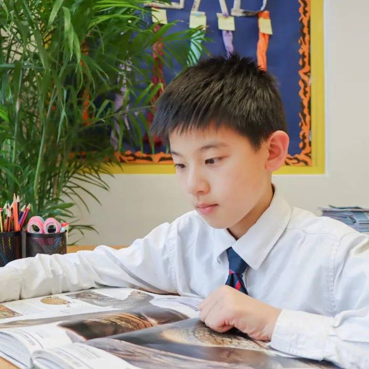 德威浦西学生在FOBISIA英语和数学竞赛中斩获佳绩