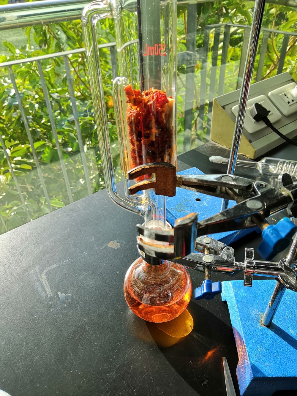 Kyra在生物CCA里的实验 - 在辣椒中提取香料