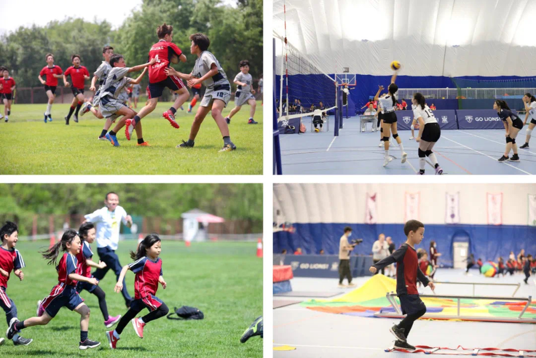 dcb partnership with pacificpine sports