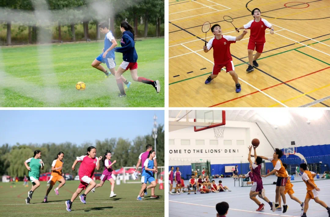 dcb partnership with pacificpine sports