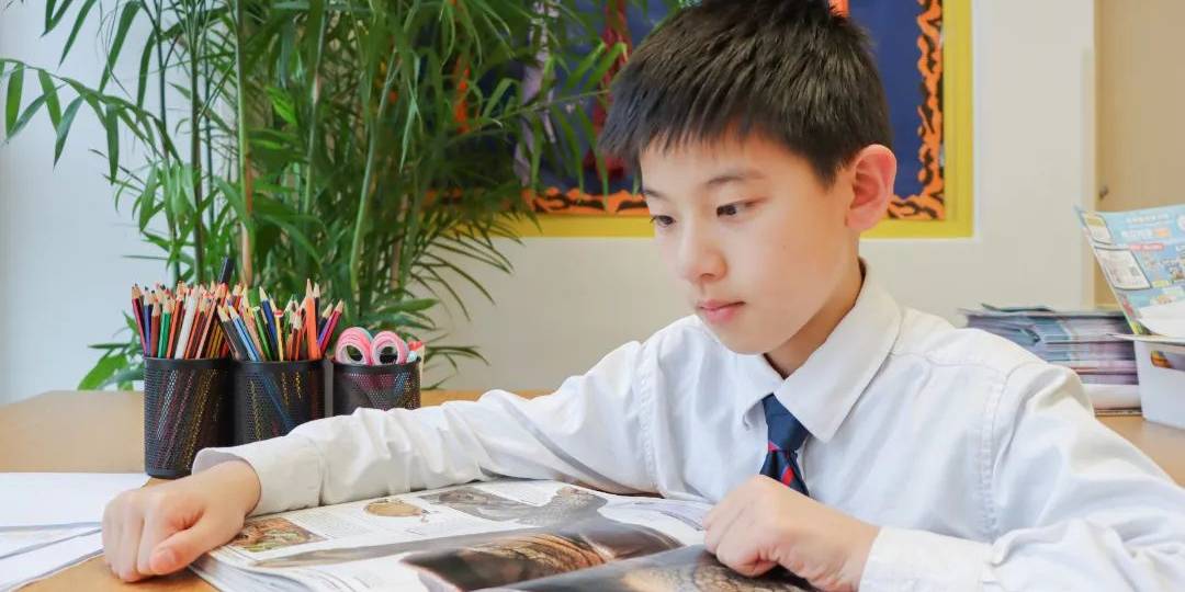 2. 中国区第一名： FOBISIA英语和数学竞赛