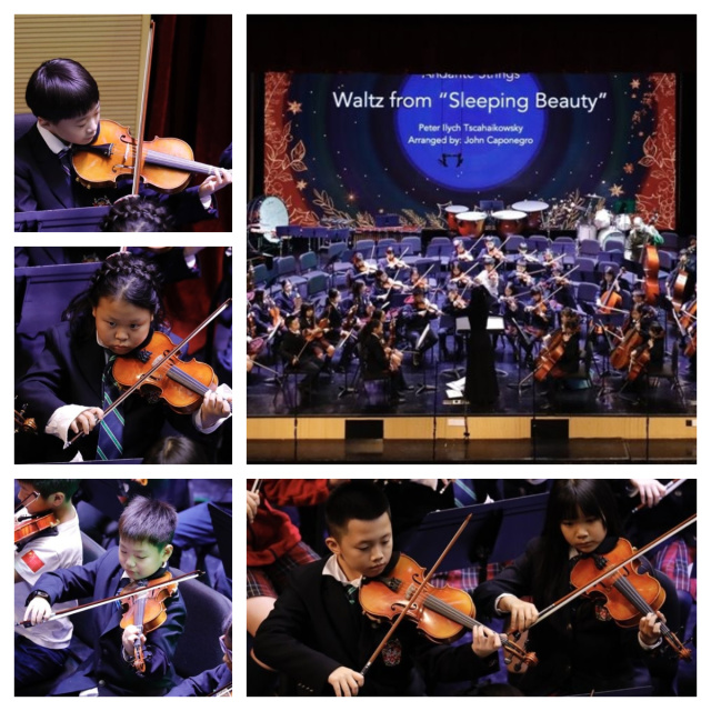 Andante Strings