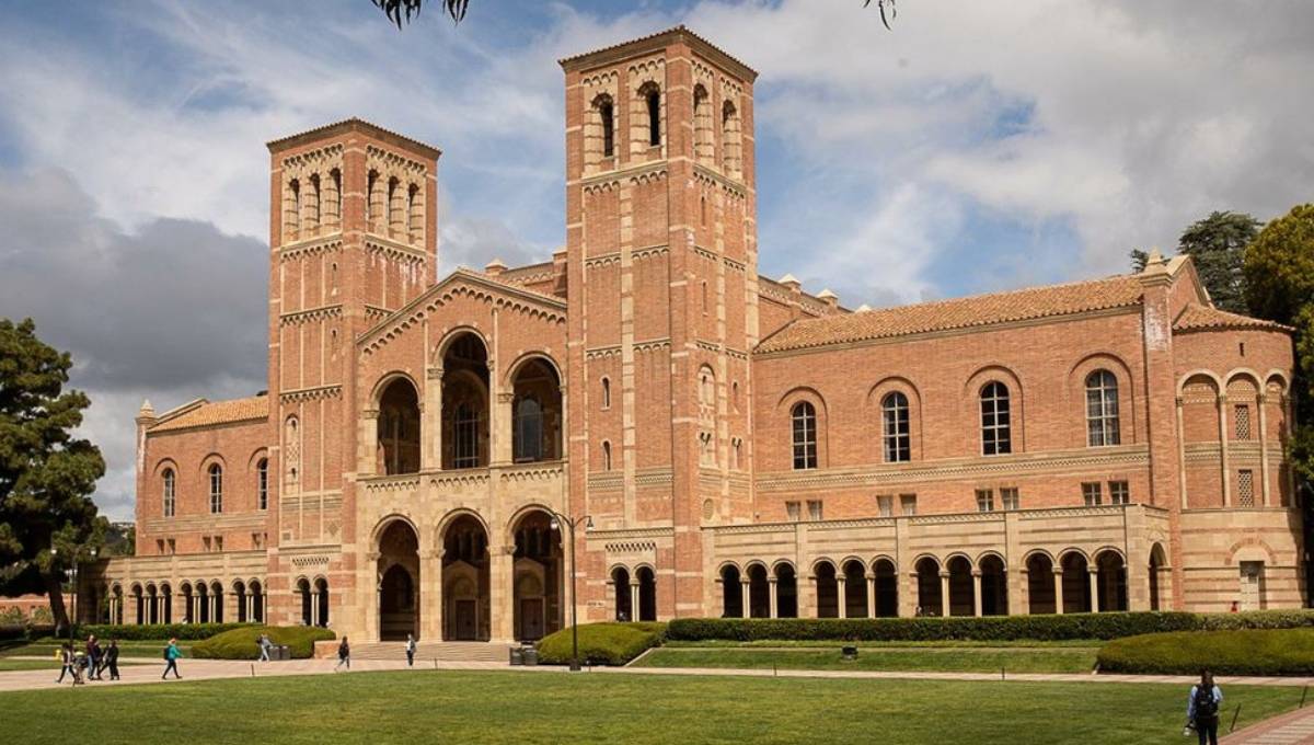 UCLA offer