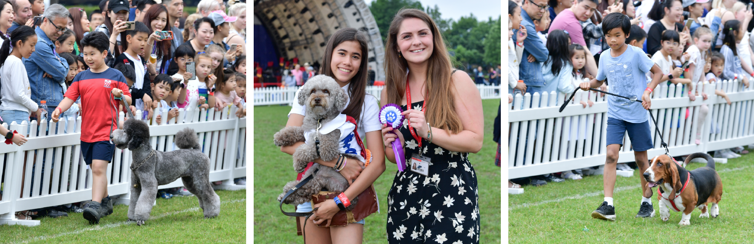 Dulwich Pudong Dog Show