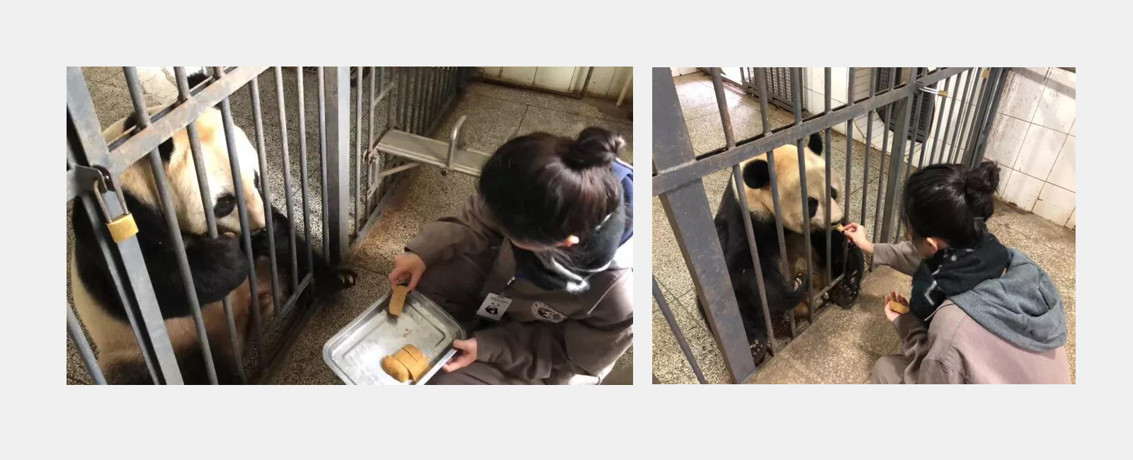 Sylvia and a Panda