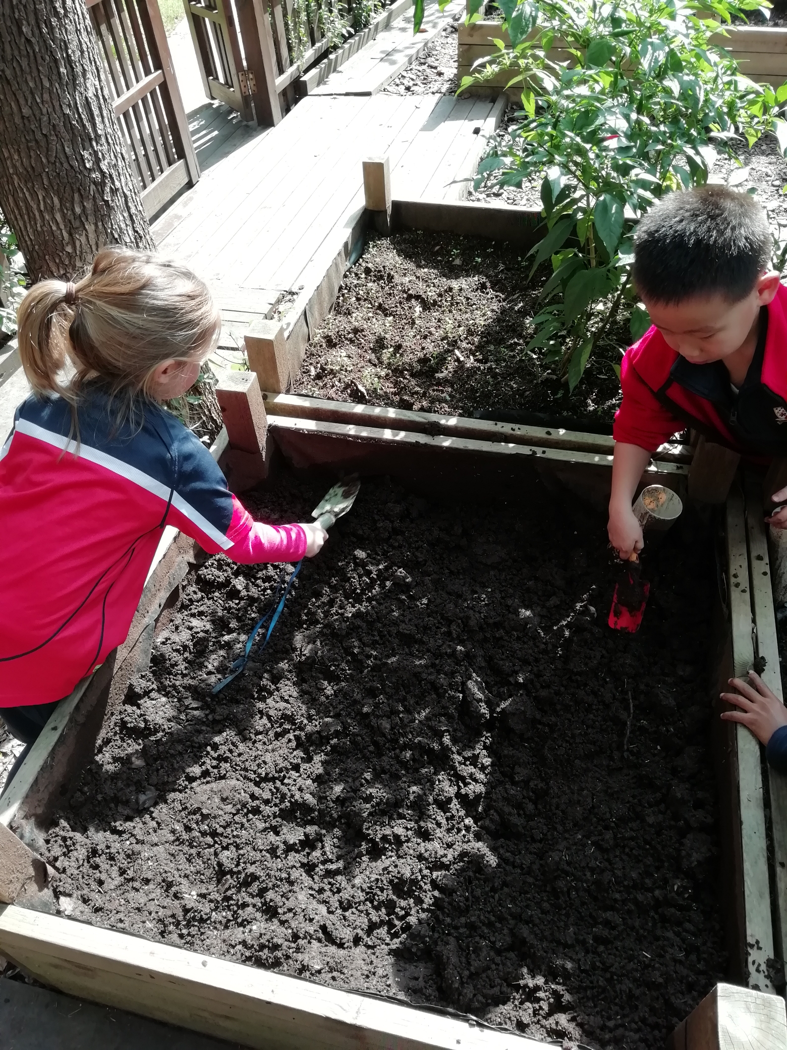 Eco-Gardening in the Big City