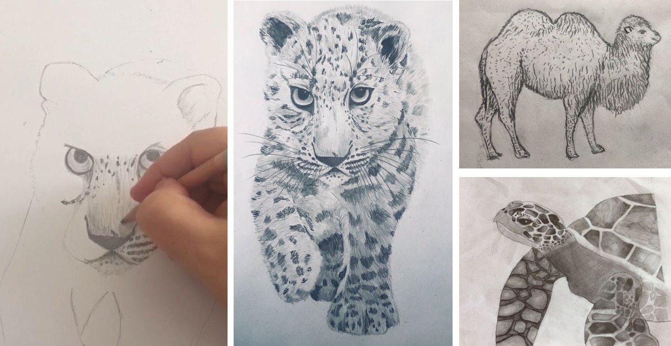 JS Art