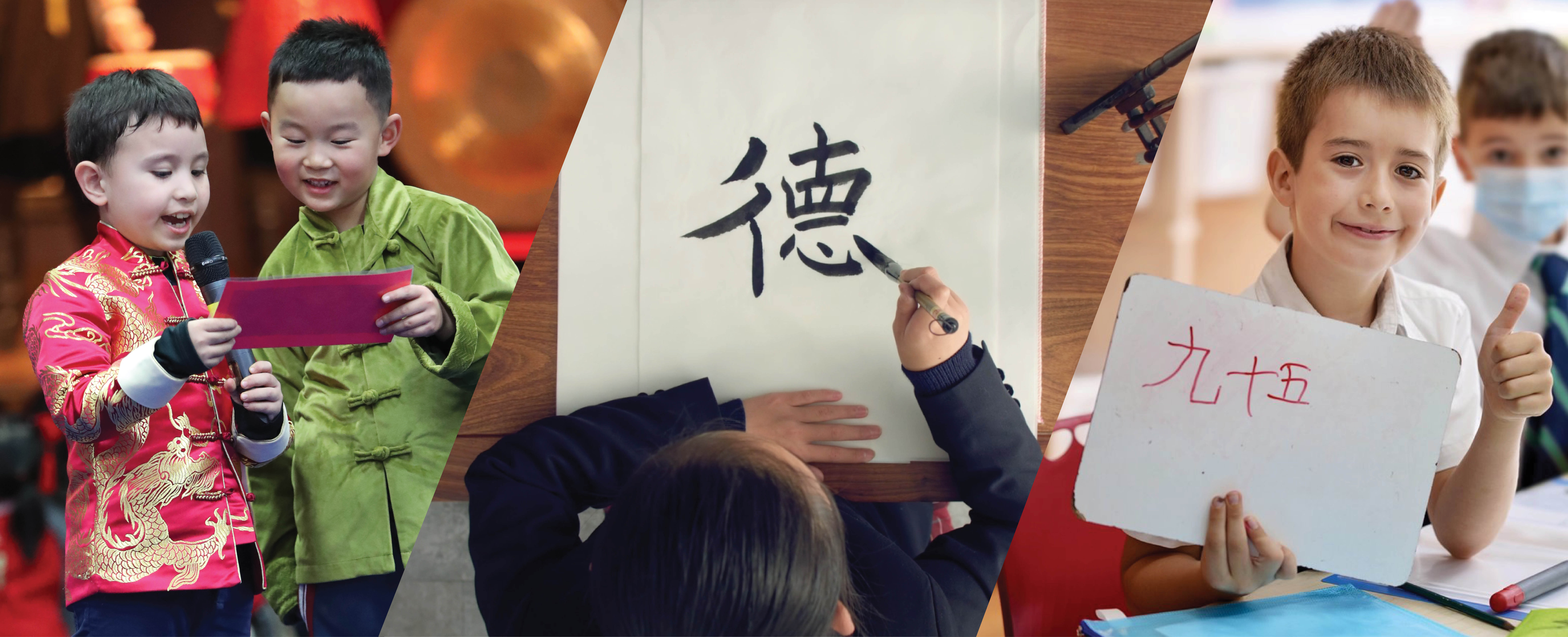 中文课程路径