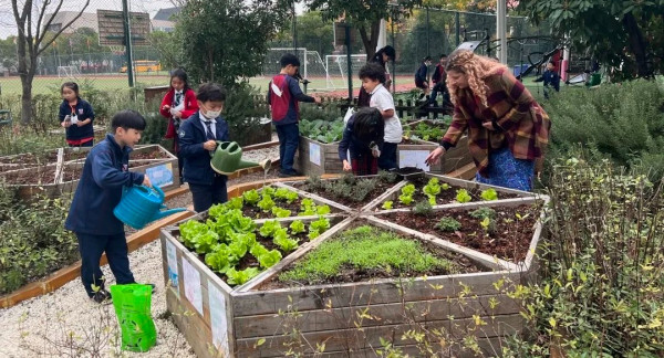 小学学生在花园中种菜