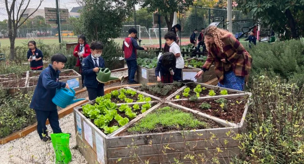 students have growing and harvesting veggies in our JS garden