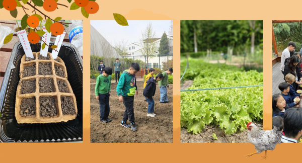 From Seed to Table: Harvesting Connections in the College Garden