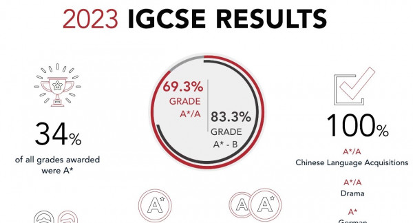 2023年IGCSE成绩