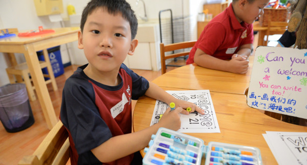 CCA programmes