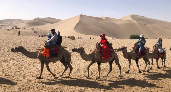 Dunhuang and Camel