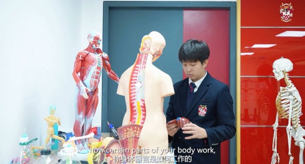 My DCB, My Story系列 - Benjamin