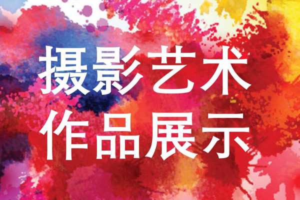 摄影作品展示
