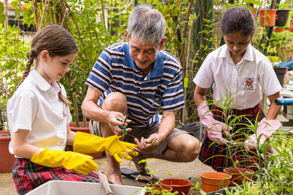 Global Citizenship image