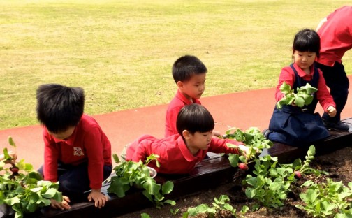 Children Planting at School