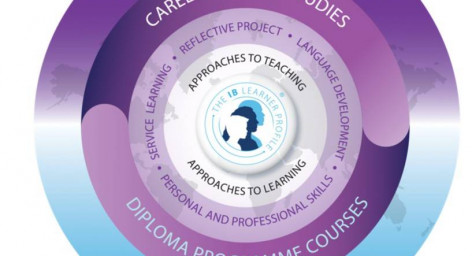IB Career-related Programme image