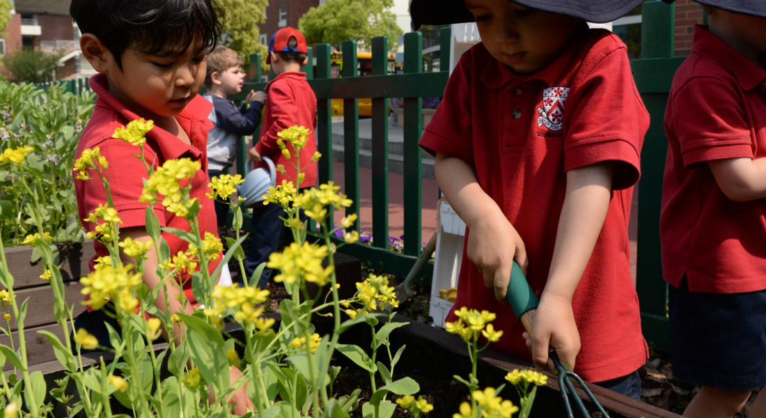 Vision & Values | Dulwich College International